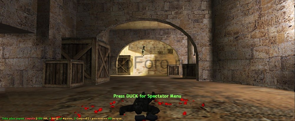 Killa hp.jpg