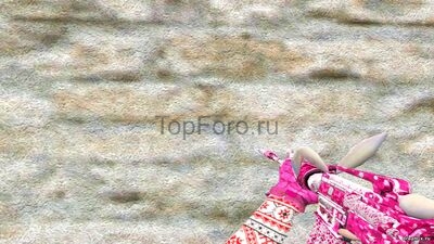 s03250450.jpg