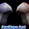 Earflaps Hat